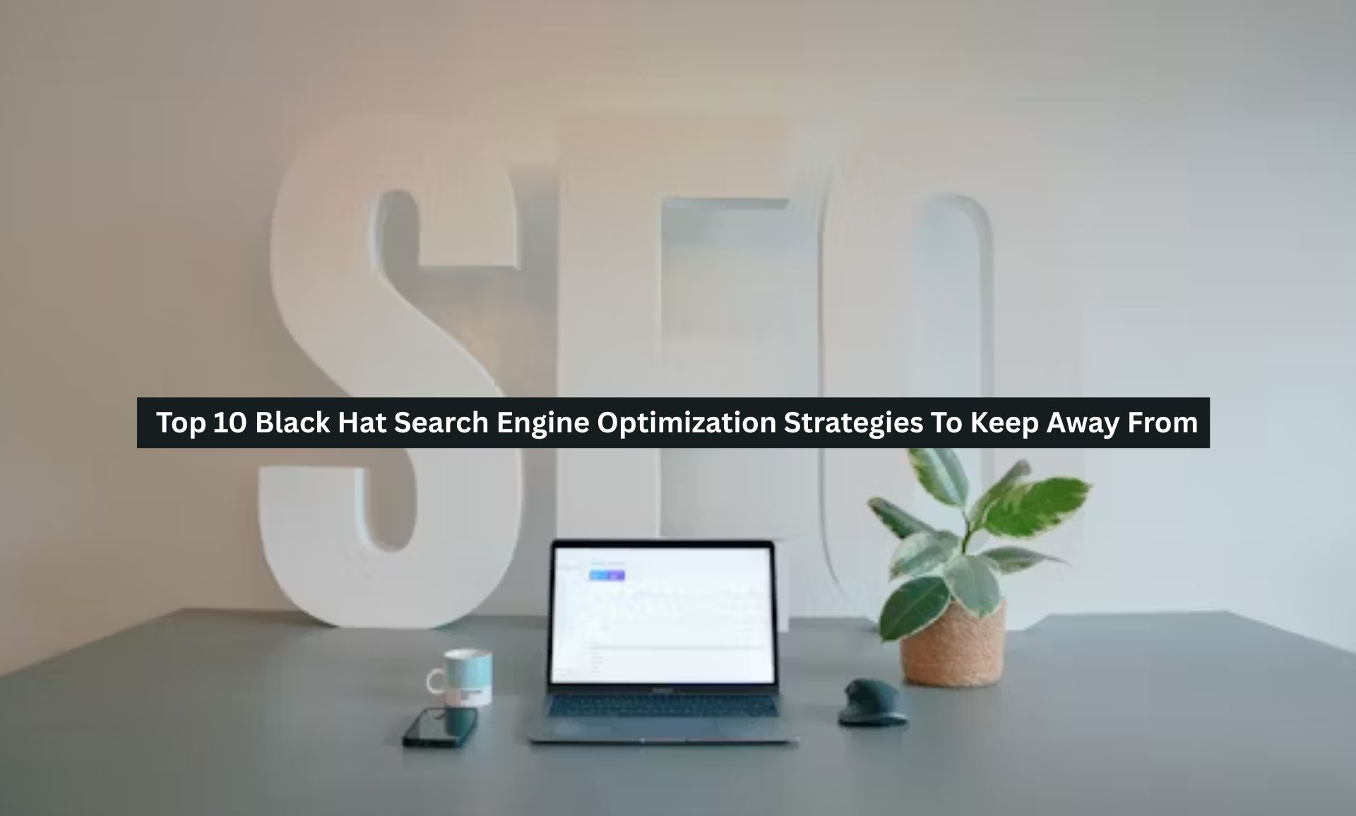 search Engine Optimization